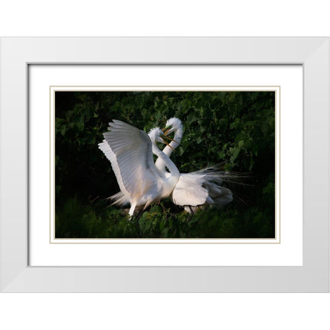 Love Is In The Air! White Modern Wood Framed Art Print with Double Matting by Chang, Phillip