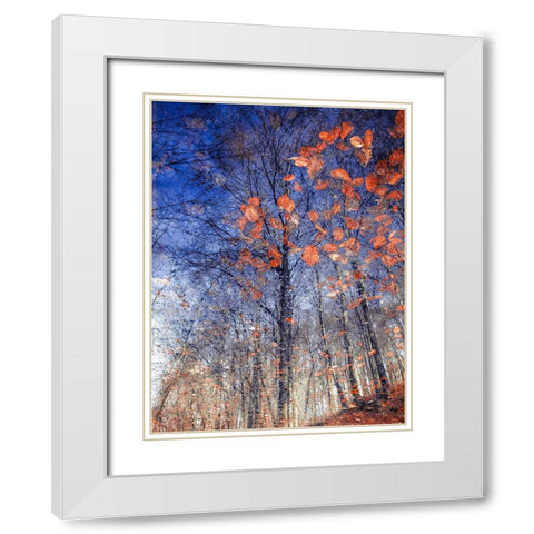 Autumn Leaves Ii White Modern Wood Framed Art Print with Double Matting by Vinogradof, Florentin