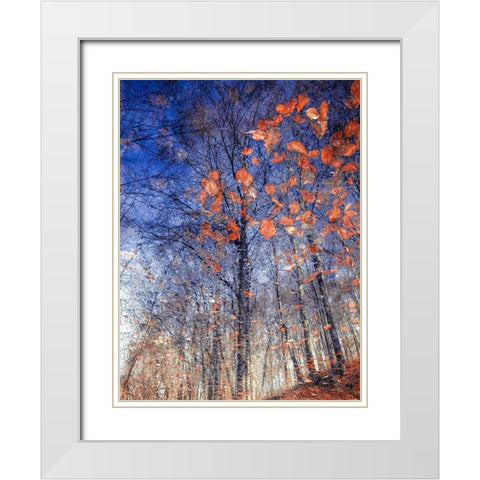 Autumn Leaves Ii White Modern Wood Framed Art Print with Double Matting by Vinogradof, Florentin
