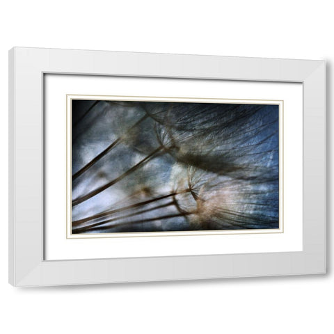 Untitled White Modern Wood Framed Art Print with Double Matting by Grambone, Antonio