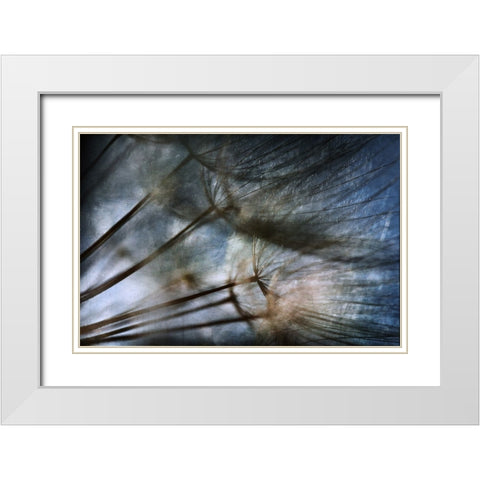 Untitled White Modern Wood Framed Art Print with Double Matting by Grambone, Antonio