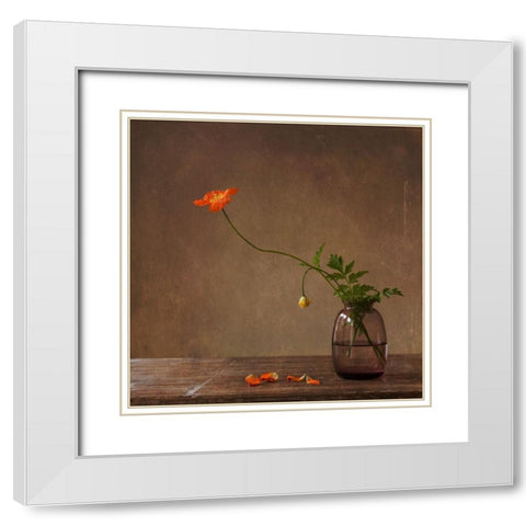 A Story With Orange Poppies White Modern Wood Framed Art Print with Double Matting by Bunkova, Galina