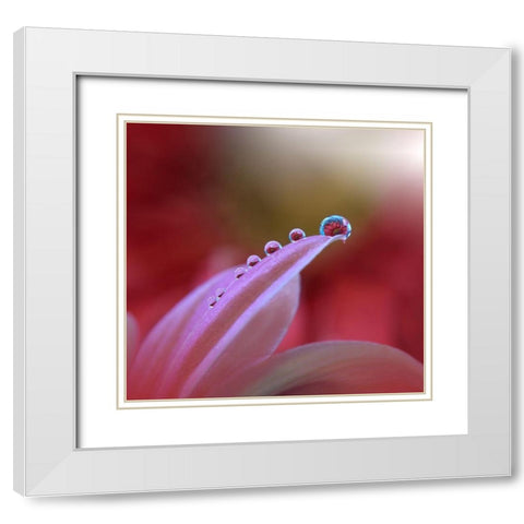 Behind Closed Eyes... White Modern Wood Framed Art Print with Double Matting by Nan, Juliana