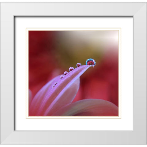 Behind Closed Eyes... White Modern Wood Framed Art Print with Double Matting by Nan, Juliana