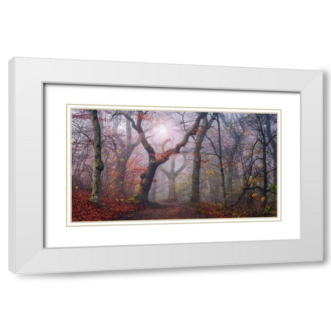 Walking The Old Path. White Modern Wood Framed Art Print with Double Matting by Londal, Leif