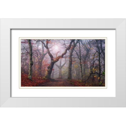 Walking The Old Path. White Modern Wood Framed Art Print with Double Matting by Londal, Leif