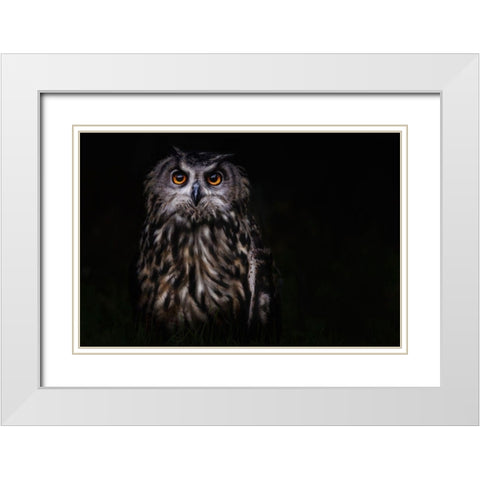 Prince Of The Night White Modern Wood Framed Art Print with Double Matting by Benezech, Martine