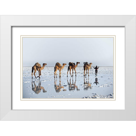 Reflections Of An Ancient Life White Modern Wood Framed Art Print with Double Matting by Cole, Trevor
