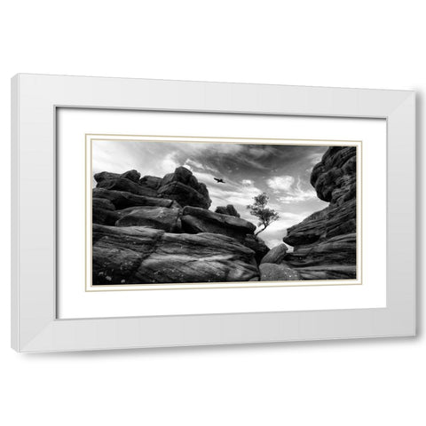 Brimham White Modern Wood Framed Art Print with Double Matting by Therion