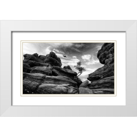 Brimham White Modern Wood Framed Art Print with Double Matting by Therion