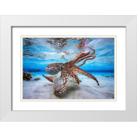 Dancing Octopus White Modern Wood Framed Art Print with Double Matting by Gabriel, Barathieu