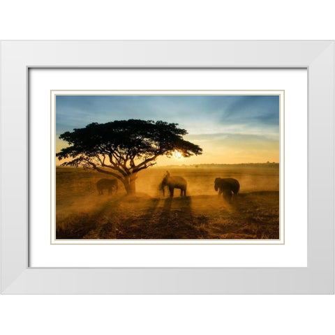 Morning Elephant Home Town White Modern Wood Framed Art Print with Double Matting by Whanset, Saravut
