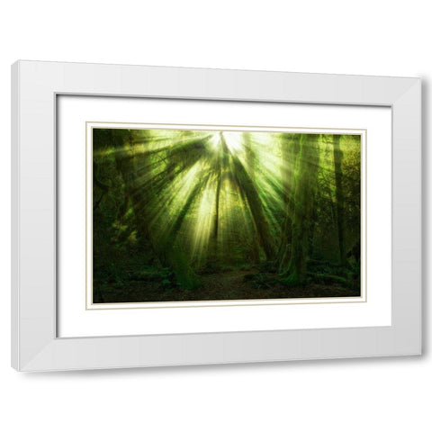 The Miracle White Modern Wood Framed Art Print with Double Matting by Zakravsky, Jaroslav