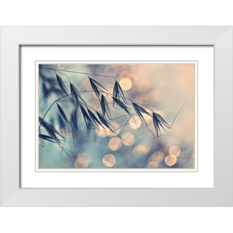 ...Lll White Modern Wood Framed Art Print with Double Matting by Lazarov, Dimitar