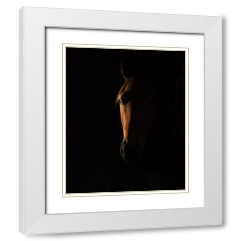 The Beauty of The Thoroughbred White Modern Wood Framed Art Print with Double Matting by Lee Chapman, Sharon