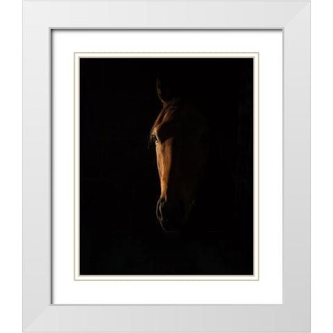 The Beauty of The Thoroughbred White Modern Wood Framed Art Print with Double Matting by Lee Chapman, Sharon