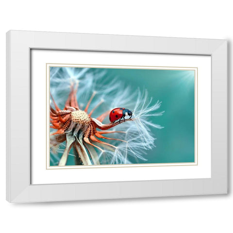 Freedoom White Modern Wood Framed Art Print with Double Matting by Ozturk, Mustafa
