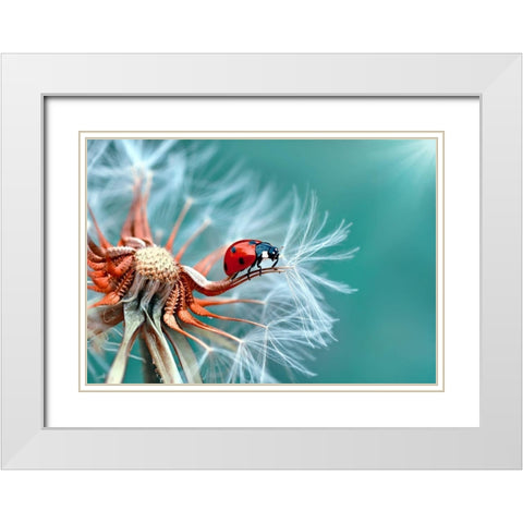 Freedoom White Modern Wood Framed Art Print with Double Matting by Ozturk, Mustafa