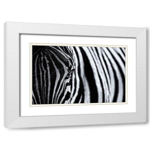 The Look Of Nature White Modern Wood Framed Art Print with Double Matting by Tagliarino, Marco
