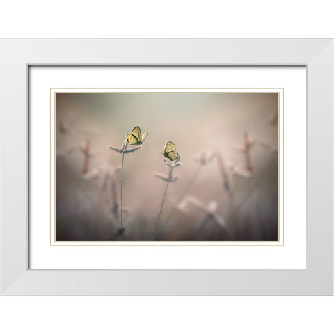 With You White Modern Wood Framed Art Print with Double Matting by Pamungkas, Edy