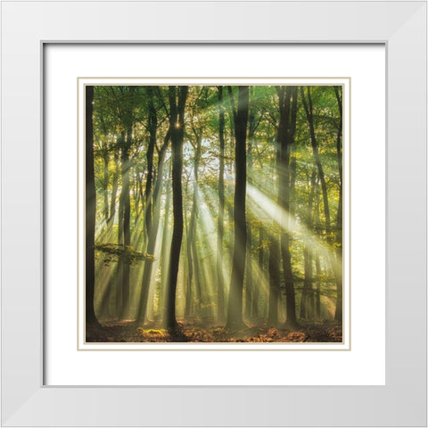 Sunny Start To The Day ........ White Modern Wood Framed Art Print with Double Matting by Haaksma, Piet