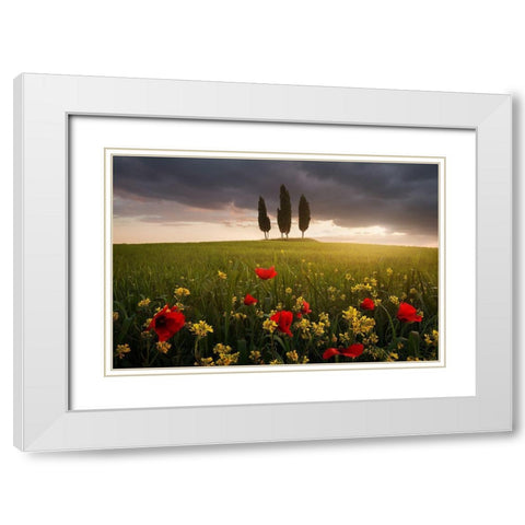 Blooming Tuscany White Modern Wood Framed Art Print with Double Matting by Rericha, Daniel