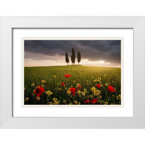 Blooming Tuscany White Modern Wood Framed Art Print with Double Matting by Rericha, Daniel