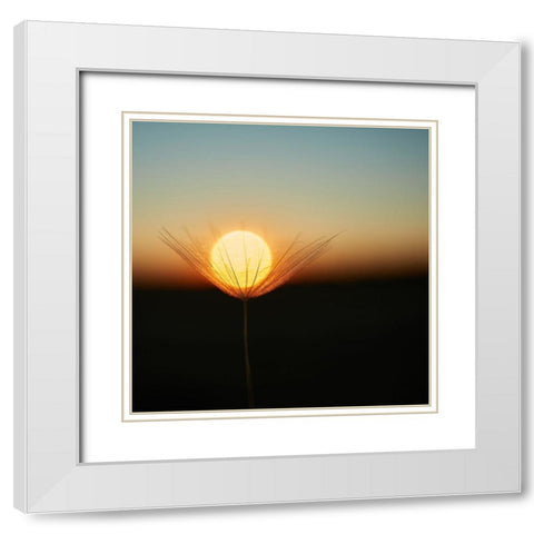 Trapped In A Downy Tuft White Modern Wood Framed Art Print with Double Matting by Riha, Milan