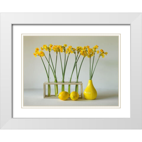The Freshness Of Spring White Modern Wood Framed Art Print with Double Matting by Hammer, Jacqueline