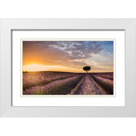 Destination Lavender White Modern Wood Framed Art Print with Double Matting by Ros, Fran
