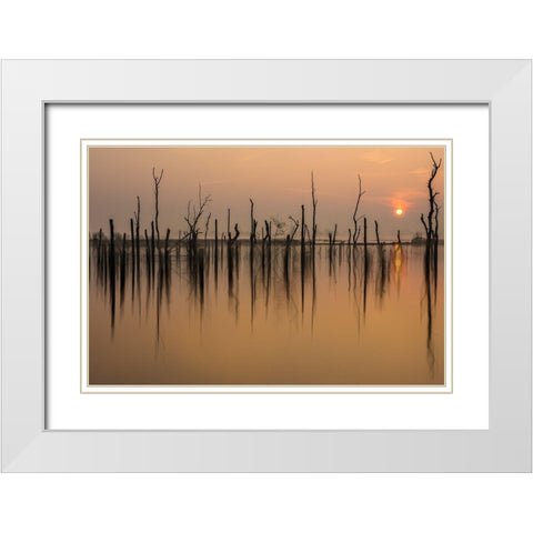 Drowned Forest ........... White Modern Wood Framed Art Print with Double Matting by Haaksma, Piet
