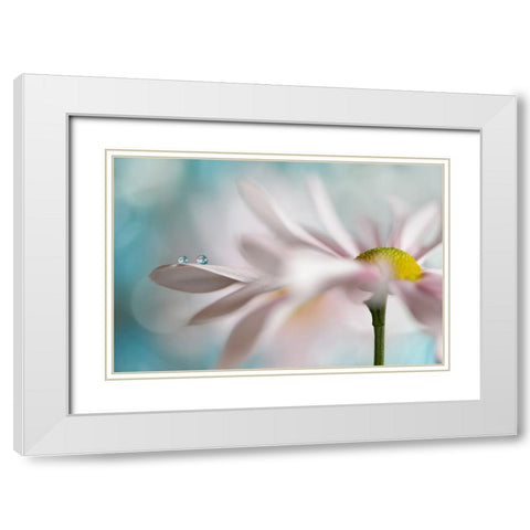 Tiny Duo White Modern Wood Framed Art Print with Double Matting by Westum, Heidi