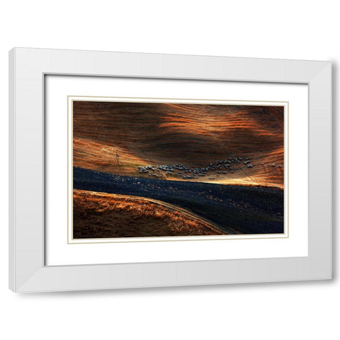 Il Gregge 3 White Modern Wood Framed Art Print with Double Matting by Della Latta, Massimo