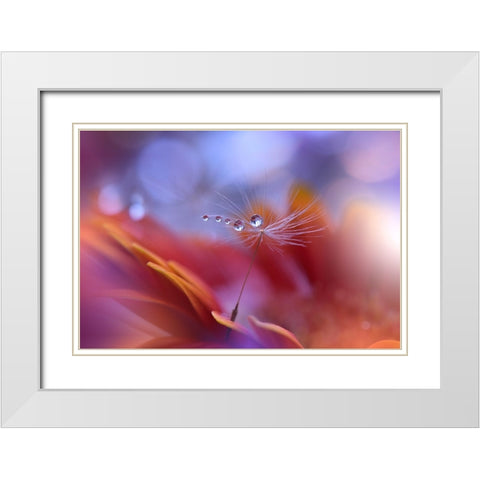 Dance In The Light... White Modern Wood Framed Art Print with Double Matting by Nan, Juliana