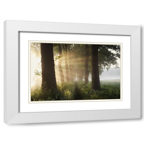 First Day Of Summer White Modern Wood Framed Art Print with Double Matting by Croce, Vincent