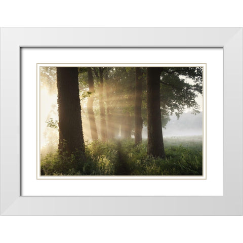 First Day Of Summer White Modern Wood Framed Art Print with Double Matting by Croce, Vincent