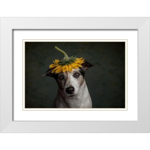 Does She Realize She Looks Like A Sunflower.... White Modern Wood Framed Art Print with Double Matting by Willers, Heike