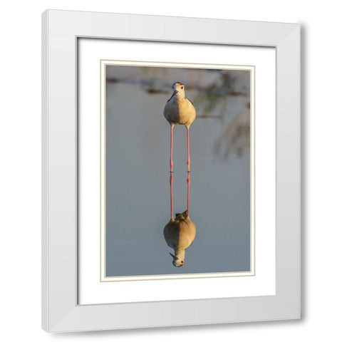 Mirror White Modern Wood Framed Art Print with Double Matting by Tamajo, Massimo