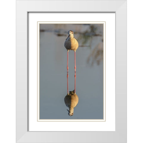 Mirror White Modern Wood Framed Art Print with Double Matting by Tamajo, Massimo