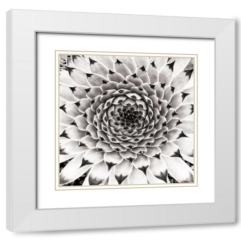 Untitled White Modern Wood Framed Art Print with Double Matting by Pandya, Hardik