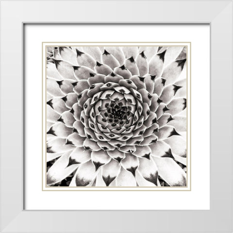 Untitled White Modern Wood Framed Art Print with Double Matting by Pandya, Hardik