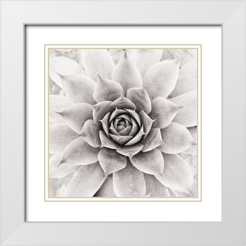 Untitled White Modern Wood Framed Art Print with Double Matting by Pandya, Hardik