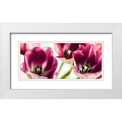 Tulips Iv White Modern Wood Framed Art Print with Double Matting by Bsmart