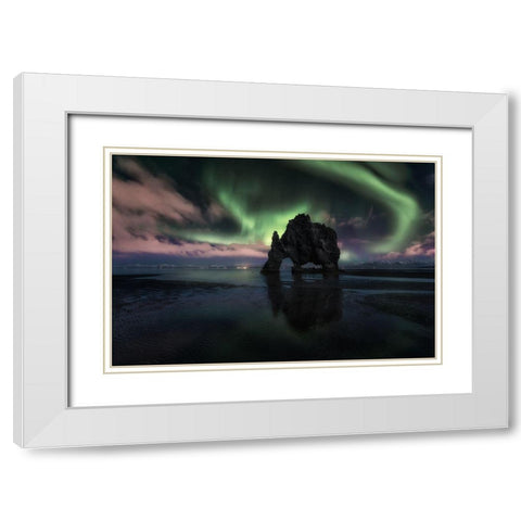 Rhino White Modern Wood Framed Art Print with Double Matting by Martin Castan, David