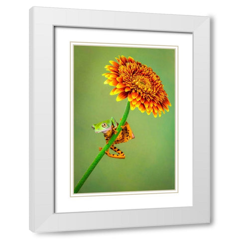 Just Hanging Around White Modern Wood Framed Art Print with Double Matting by Doyle, Renee