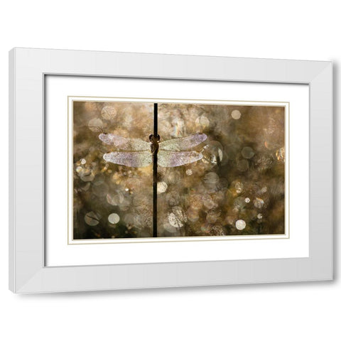 Morning Light White Modern Wood Framed Art Print with Double Matting by Blanken, Rob