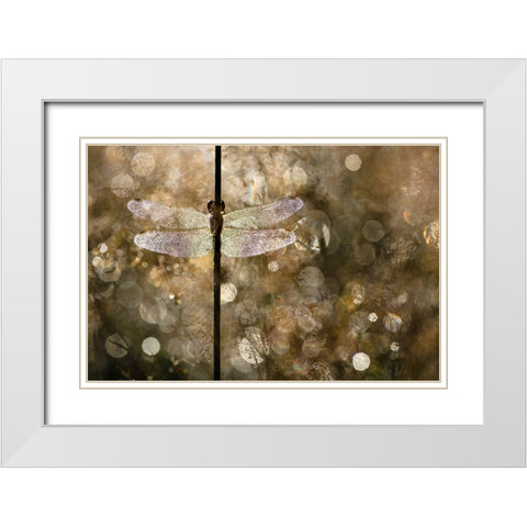 Morning Light White Modern Wood Framed Art Print with Double Matting by Blanken, Rob