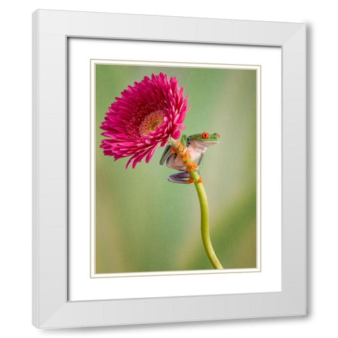 Lookout White Modern Wood Framed Art Print with Double Matting by Schneider, Cheryl