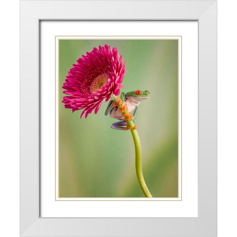 Lookout White Modern Wood Framed Art Print with Double Matting by Schneider, Cheryl