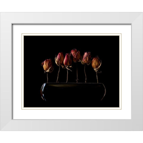 Night Garden White Modern Wood Framed Art Print with Double Matting by Hummel, Jeffrey